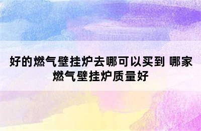 好的燃气壁挂炉去哪可以买到 哪家燃气壁挂炉质量好